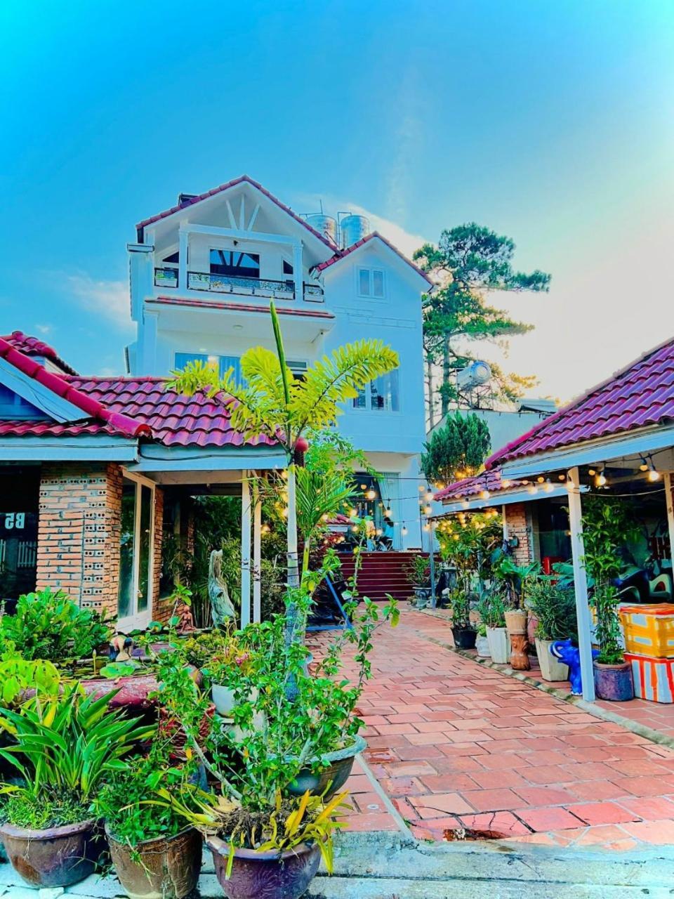 Hoa Chuong - Villa - Homestay Dalat Luaran gambar