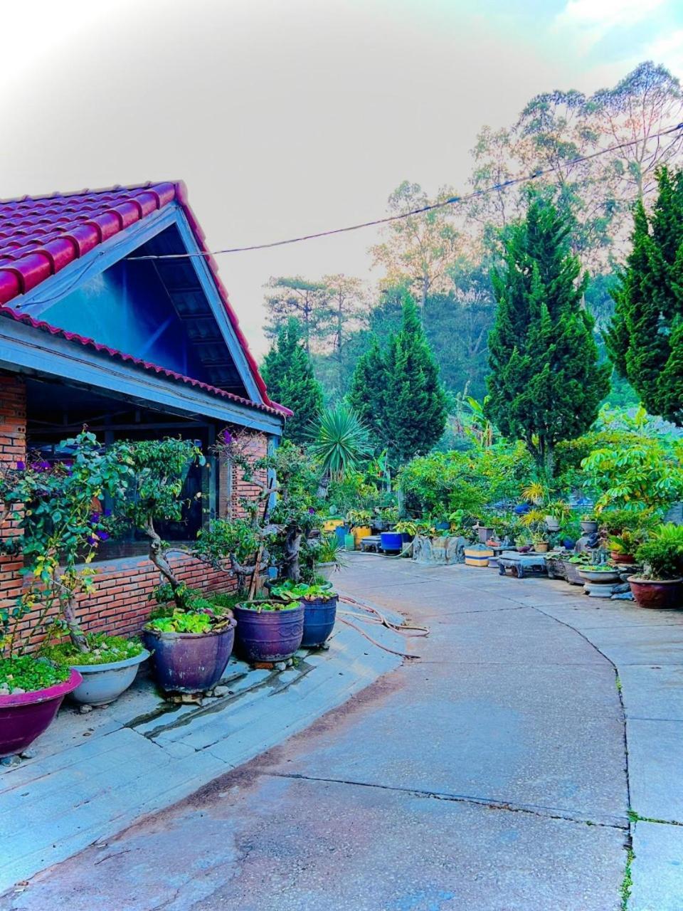Hoa Chuong - Villa - Homestay Dalat Luaran gambar